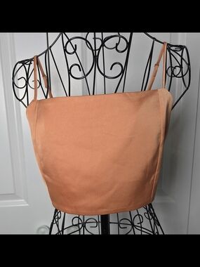 Petal & Pup Satin Corset Crop Top Terracotta Smocked Back S